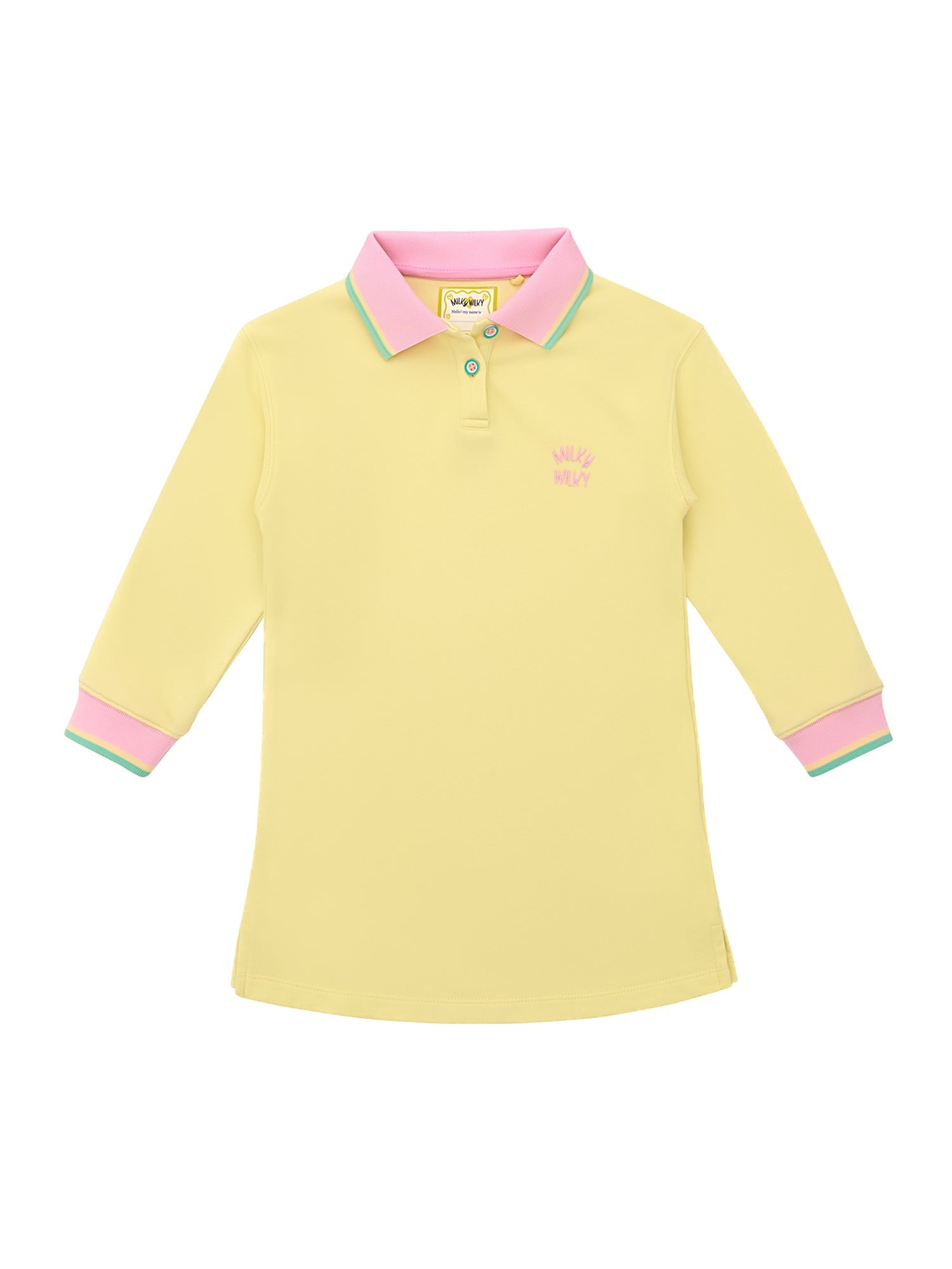 Polo Collar Dress