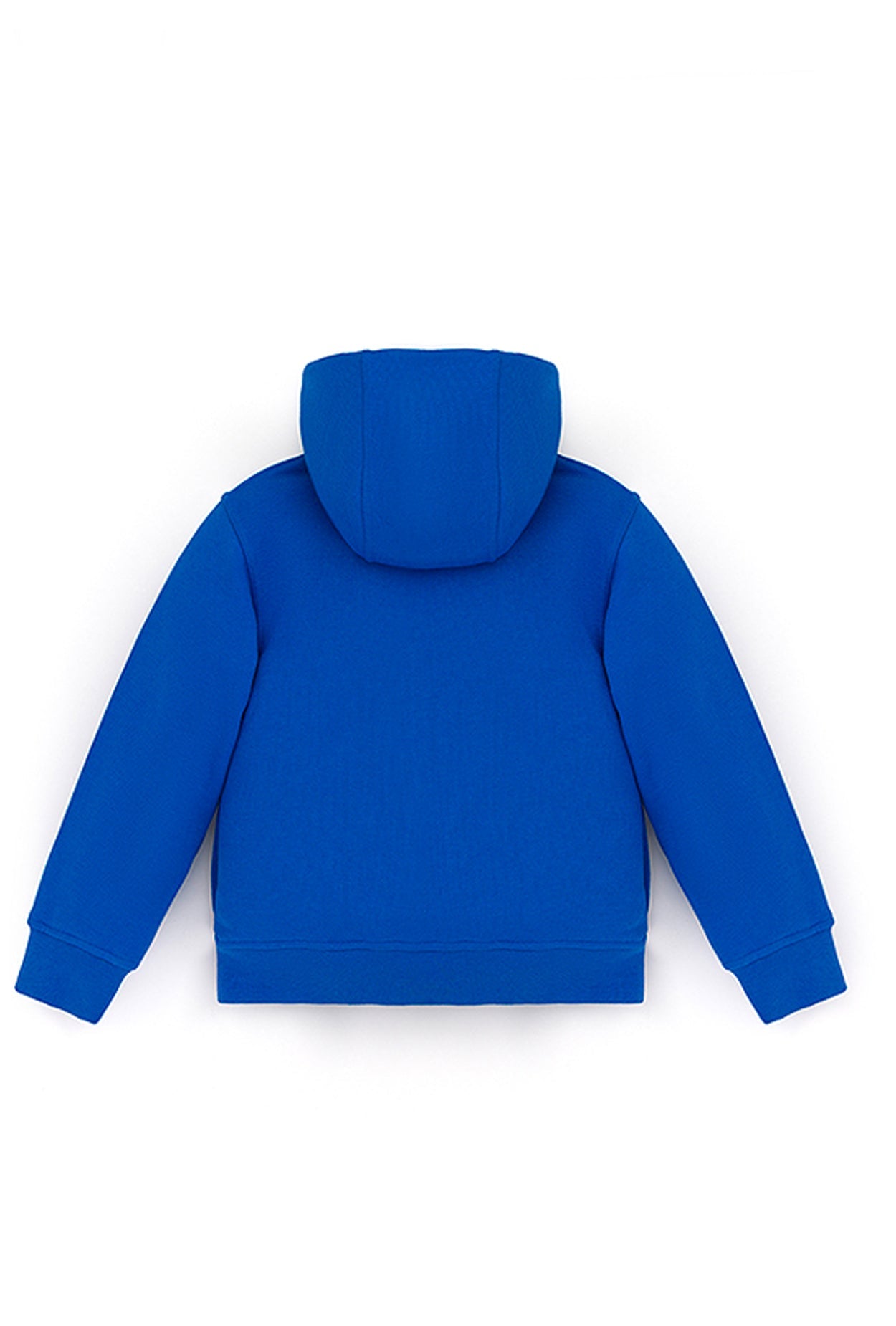 Squeaky Cobalt Blue Zipped Hoodie Sweatshirt